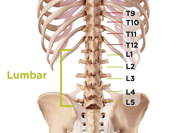 Thoái hóa đốt sống lưng l4 l5 là tình trạng đốt sống bị suy yếu