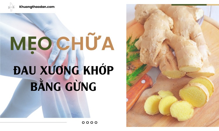 Chữa đau khớp gối bằng gừng