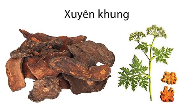 Đặc điểm nhận dạng của cây xuyên khung