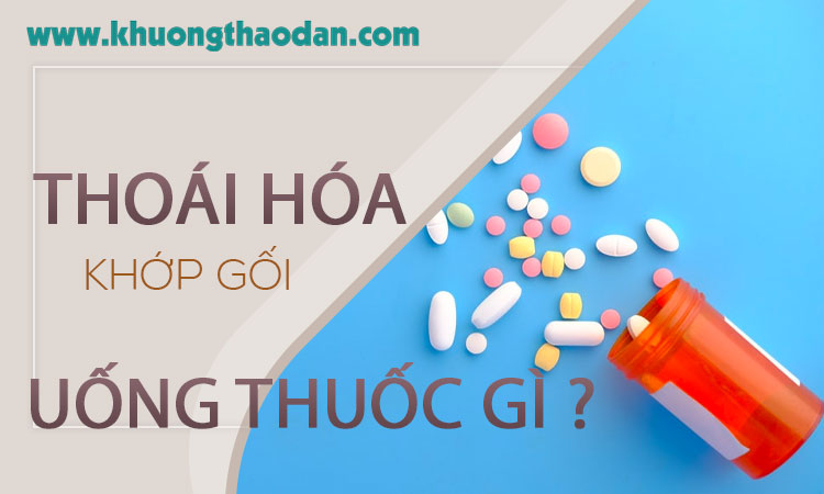 Những thuốc điều trị thoái hóa khớp gối hiệu quả ngoài mong muốn