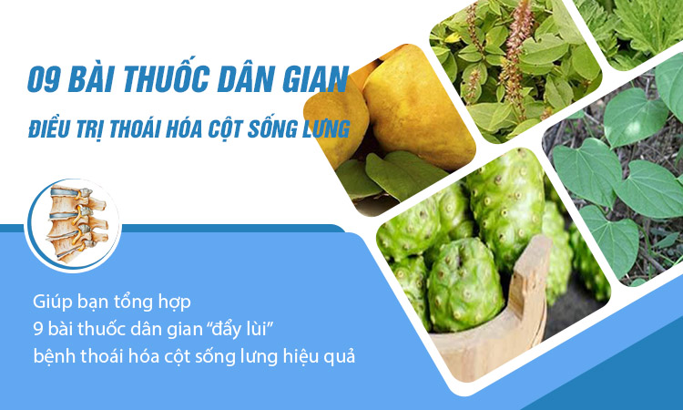 Chữa thoái hóa đốt sống lưng bằng thuốc nam dân gian