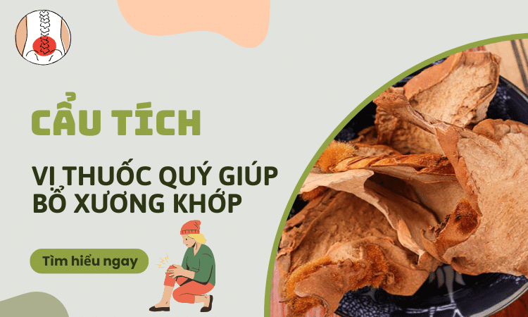 Cẩu tích - Vị thuốc quý giúp bổ xương khớp