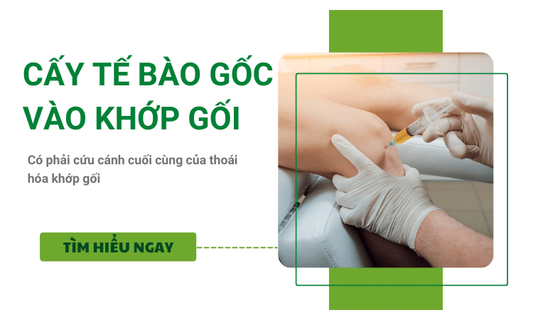 Cấy tế bào gốc vào khớp gối có phải cứu cánh cuối cùng của thoái hóa khớp gối