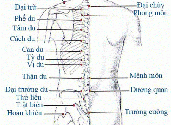 Huyệt đạo trị đau thần kinh tọa