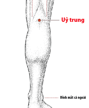 Huyệt ủy trung