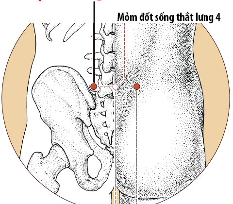 Huyệt đại trường du