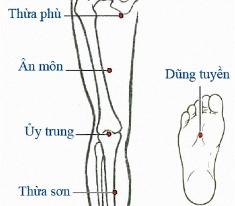 Huyệt thừa phù