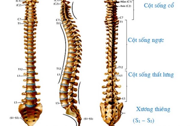 Hình ảnh cột sống L5 S1