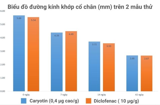 Biểu đồ đường kính khớp cổ chân (mm)