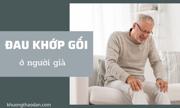 Đau khớp gối ở người già