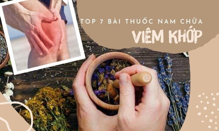  thuoc-nam-chua-benh-viem-khop