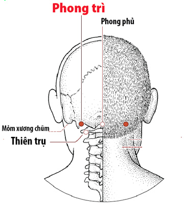 Vị trí Huyệt Phong trì