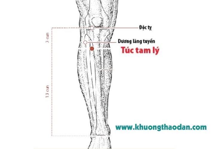 huyet-tuc-tam-ly